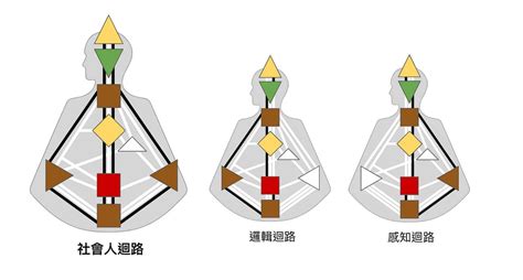 人類圖數字|什麼是人類圖？ 跟MBTI 有什麼不同？超詳細人類圖解。